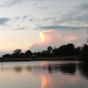 Meet your Posher, Shane